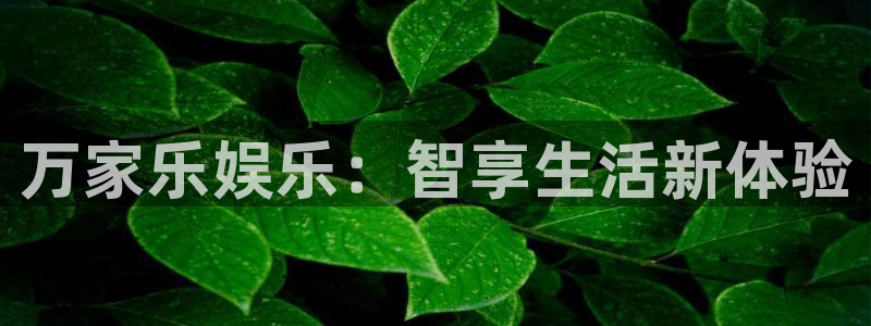 今年会app：万家乐娱乐：智享生活新体验