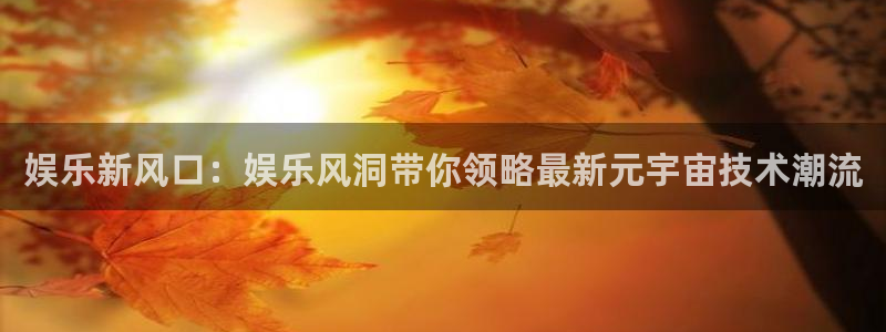 今年会app：娱乐新风口：娱乐风洞带你领略最新元宇宙技术潮流