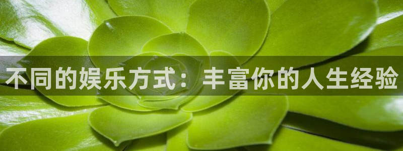 今年会：不同的娱乐方式：丰富你的人生经验