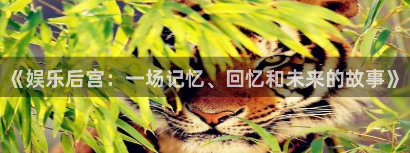 今年会体育
