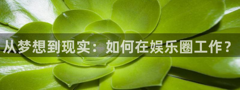 今年会app：从梦想到现实：如何在娱乐圈工作？