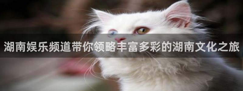 今年会官网登录入口：湖南娱乐频道带你领略丰富多彩的湖南文化之旅